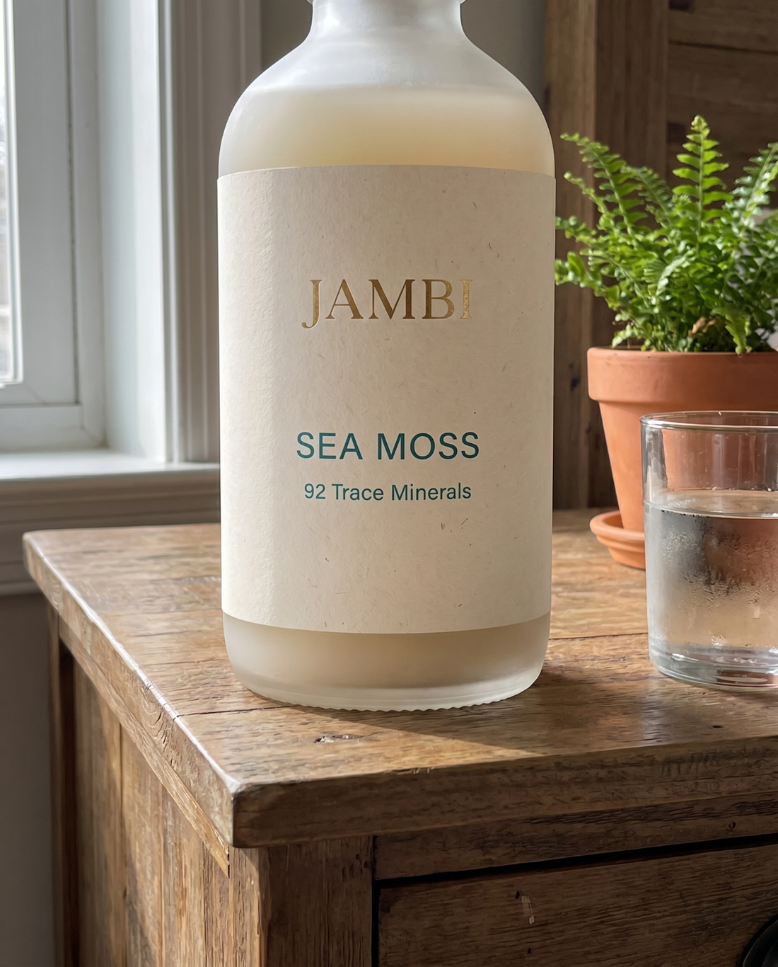 Sea Moss Complex